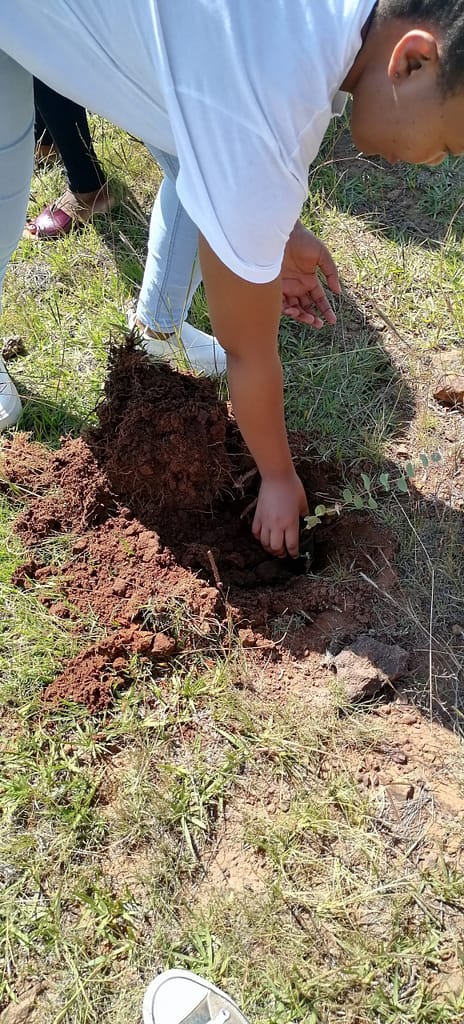 Lesotho Marks National Tree Planting Day